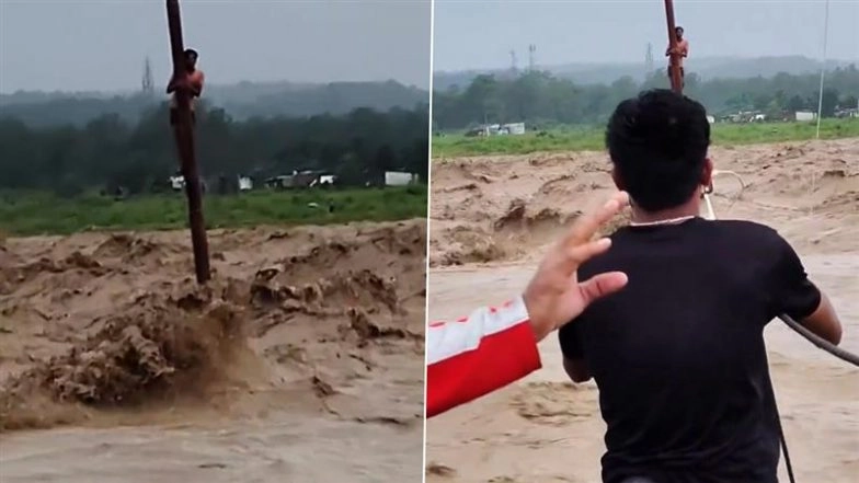 Dehradun: Man Stranded on Electric Pole As Asan River Swells After Heavy Rains in Sudhowala; Video Surfaces