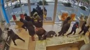 Robbery Caught on Camera in California: 20 Masked Robbers Fire Handgun, Smash and Loot Jewellery Store in Broad Daylight in San Francisco; CCTV Video Surfaces