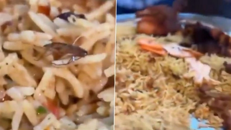 Hyderabad: Customer Finds Dead Cockroach in Biryani at Arabian Mandi Restaurant in Musheerabad, Video Surfaces