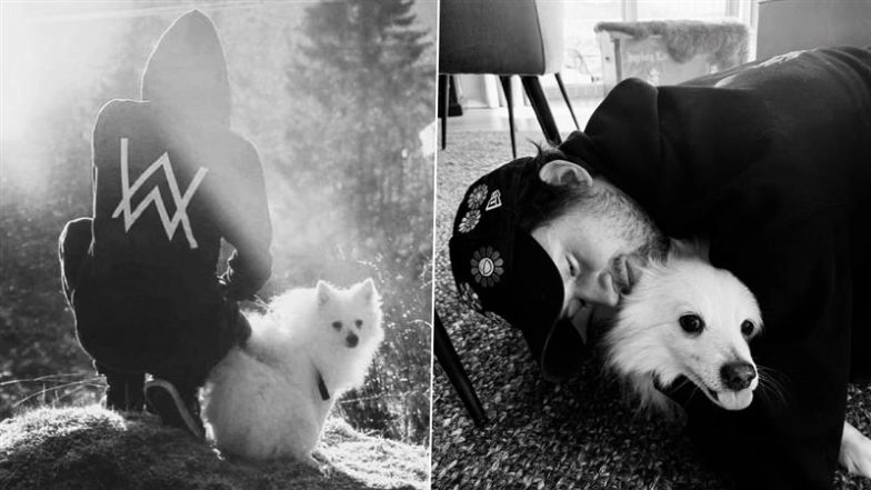 Alan Walker’s Pet Dog Happy Passes Away; Music Producer Shares Unseen Pictures With His Furry Friend and Says, ‘He’ll Continue To Share the Same Love From Heaven’ (View Post)