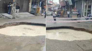 Delhi Rains: Road Caves-In in Janakpuri Area After Heavy Rainfall, Video Surfaces