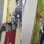 Mangaluru: Woman Crushed to Death by Lorry After Scooter Skids Over Pothole on Kuloor Highway in Karnataka; Disturbing Video Surfaces