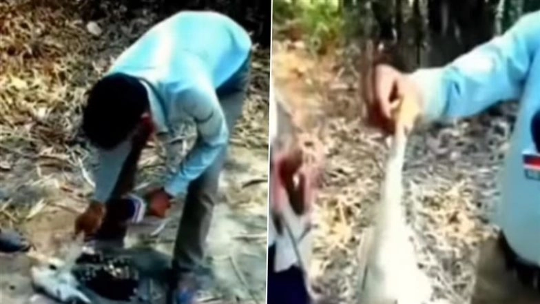 Bihar: News Reporter Turns Real-Life Hero, Slaps Man for Hunting Innocent Birds in Supaul, Video Goes Viral