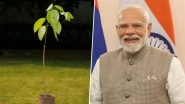PM Modi 75th Birthday: UK King Charles Sends Kadamb Tree As Present to Prime Minister Narendra Modi on His Birthday