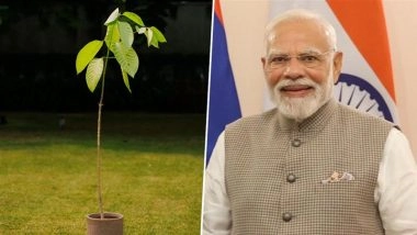 PM Modi 75th Birthday: UK King Charles Sends Kadamb Tree As Present to Prime Minister Narendra Modi on His Birthday