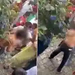 Meerut: Locals Thrash Hooligan Who Harassed BA Student in UP’s Nai Basti Colony, Video Surfaces