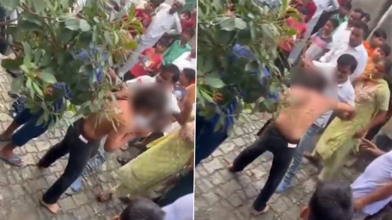 Meerut: Locals Thrash Hooligan Who Harassed BA Student in UP's Nai Basti Colony, Video Surfaces