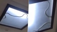Snake Found Slithering Inside Ceiling Light in Noida&rsquo;s Sector 51 Creates Panic; Video Goes Viral As Forest Team Rescues Reptile, Releases It at Okhla Bird Sanctuary