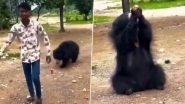 Chhattisgarh: Viral Video Shows Youth Offering Cold Drink to Wild Bear in Mahasamund, Forest Officials Launch Probe