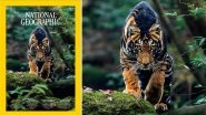 Rare Black Tiger Photographed by Prasenjeet Yadav Features on National Geographic&rsquo;s October 2025 Cover, Naveen Patnaik Calls It &lsquo;Proud Moment for Odisha&rsquo; (See Pic)
