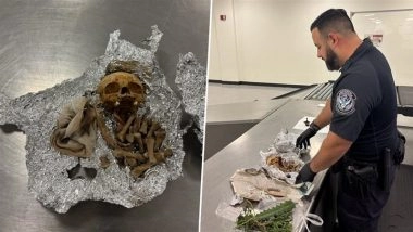 US: Passenger Caught Trying To Smuggle Human Bones and Skull for ‘Ritual’ at Tampa International Airport in Florida