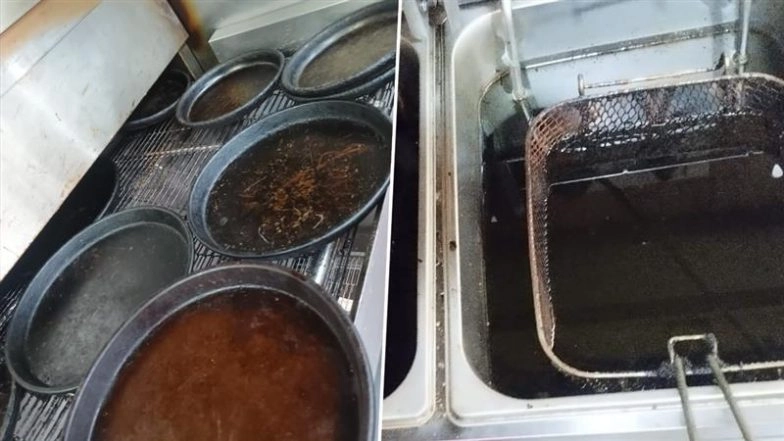 Telangana Food Safety Department Flags Lapses at Popular Pizza Chains Across State; Finds Veg and Non-Veg Stored Together at Pizza Hut Outlets, and No Segregation of Same at Domino’s Pizza (See Pics)