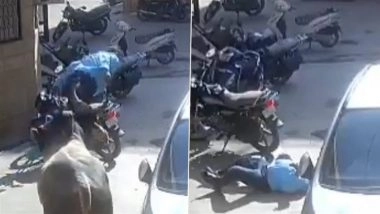 Bull Attack in Rajasthan: Bull Gores 55-Year-Old Man to Death in Balotra, Shocking Video Surfaces