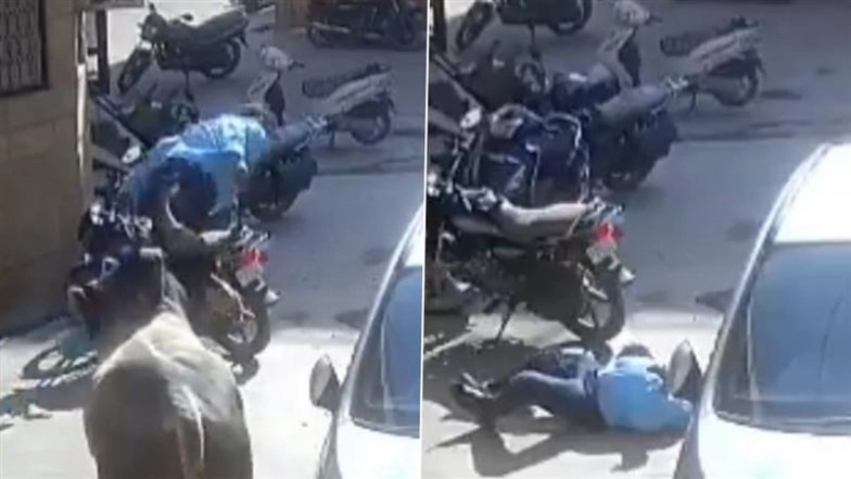 Bull Attack in Rajasthan: Bull Gores 55-Year-Old Man to Death in Balotra, Shocking Video Surfaces