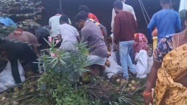 Coconut Loot in Suryapet: Injured Driver Left Unattended As Locals Flee With Coconuts After Lorry Travelling From Eluru to Hyderabad Overturns in Telangana, Shocking Video Surfaces