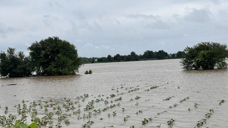 Kalaburagi School Holiday: All Schools Closed for 2 Days Amid Orange Alert for Heavy Rain; Karnataka Minister Priyank Kharge Visits Flood-Affected Areas (Watch Videos)