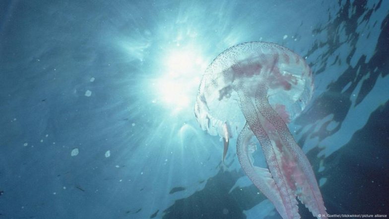Mapping the World's Oceans — a Blessing or a Curse?