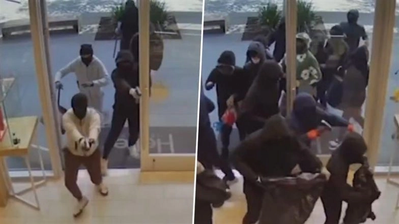 California Heist: Armed Mob of 25 Thieves Rob Heller Jewelers in San Ramon Mall, Loot Jewellery Worth Over INR 9 Crore in Seconds, 7 Arrested As Video Goes Viral