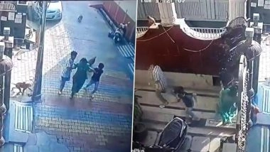 Monkey Terror in Hapur: Mother and 2 Children Attacked While Riding Scooter, Chased by Monkeys in Uttar Pradesh; CCTV Video Surfaces