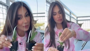 Colombia’s Constitutional Court Rules Meta Violated Free Expression by Arbitrarily Shutting Down Porn Actress Esperanza Gomez’s Instagram Account, Orders Company to Amend Policies