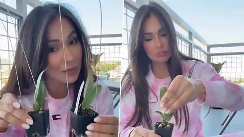 Colombia’s Constitutional Court Rules Meta Violated Free Expression by Arbitrarily Shutting Down Porn Actress Esperanza Gomez’s Instagram Account, Orders Company to Amend Policies