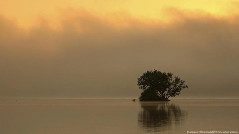 Environmental Damage Threatens Prosperity in Europe