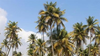 Kerala: 12-Year-Old Boy Dies After Coconut Tree Falls While Trying to Catch Parrot in Aluva
