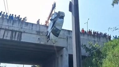 Delhi: Car Falls From Mukarba Chowk Flyover Onto Railway Tracks, Driver Escapes With Minor Injuries (Watch Videos)