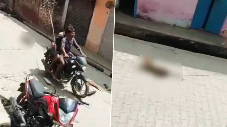 Animal Cruelty in Aligarh: 2 Youths Tie Stray Dog to Bike and Drag It on Road, Police Launch Probe After Shocking Video Surfaces