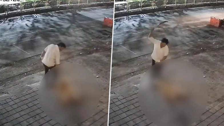 Animal Cruelty in Pune: Man Drags and Beats Pet Husky to Death, Disposes of Body in Garbage Bin in Pimpri-Chinchwad; Disturbing CCTV Video Surfaces