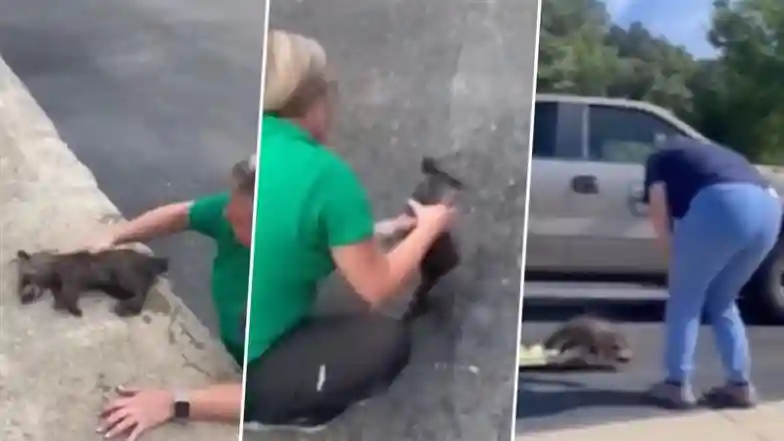 US: Nurse Performs CPR on Drunk Raccoon Found in Distillery Dumpster in Kentucky; Video Surfaces