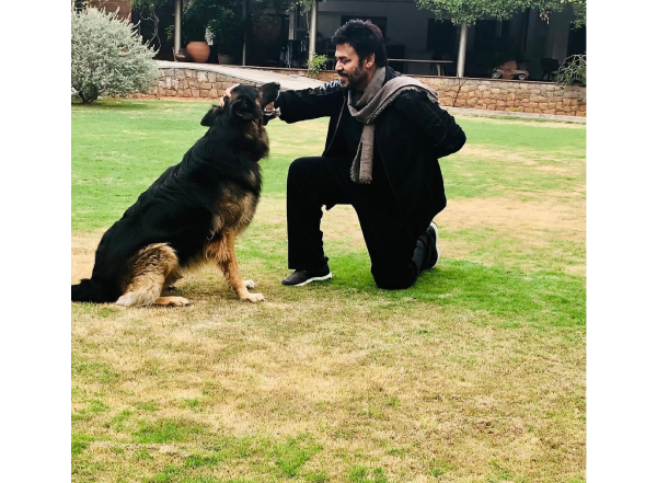 ‘Void You Leave Behind Is Beyond Words’: Venkatesh Daggubati’s Pet Dog Google Passes Away, Actor Pens Heartfelt Tribute to His Furry Friend (View Post)