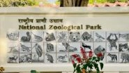 India News | No Fresh Bird Deaths at Delhi Zoo, Vigilance Continues After Painted Storks Test Positive for Avian Influenza