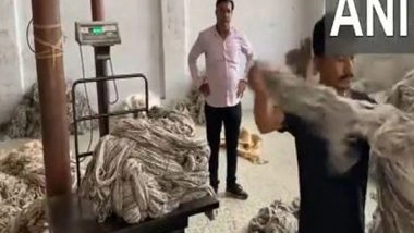 India News | Rajasthan: Wool Traders in Bikaner Seek Relief from Centre Amid 50% US Tariffs