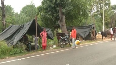 India News | Punjab: 37 Lives Lost Due to Severe Floods, Says State Government