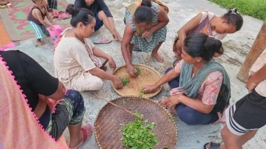 India News | Tea Growers of Kaziranga-Karbi Anglong Landscape Trained in Handmade Tea Processing