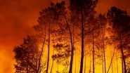 World News | Wildfires Drive Global Air Pollution, WMO Warns of Rising Health Risks
