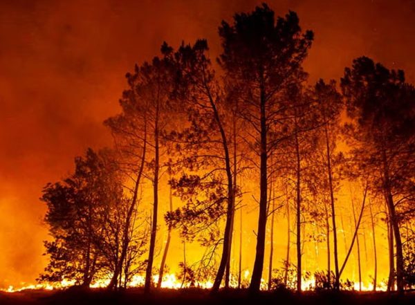 World News | Wildfires Drive Global Air Pollution, WMO Warns of Rising Health Risks