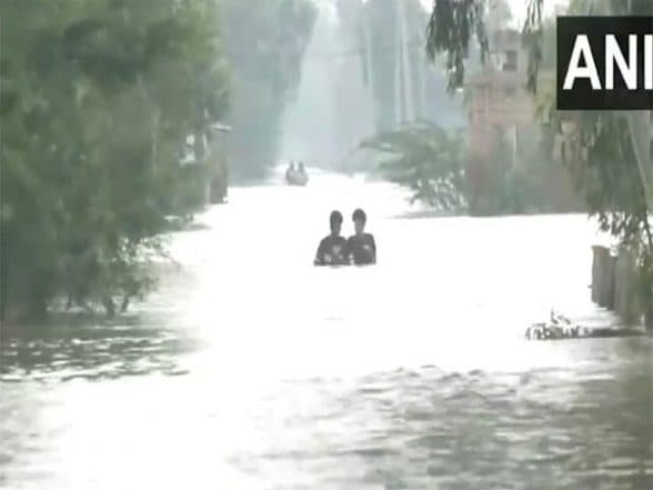 India News | Punjab: 481 Teams in Field to Protect Livestock in Flood-affected Areas