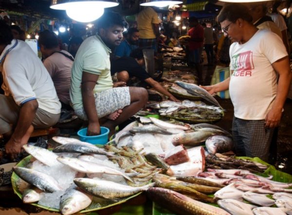 World News | Bangladesh Allows Export of 1,200 Tonnes of Hilsa to India Ahead of Durga Puja