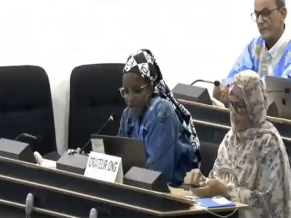 World News | Pakistan Called out for Ethnic Cleansing in PoJK, PoGB at UN Rights Council