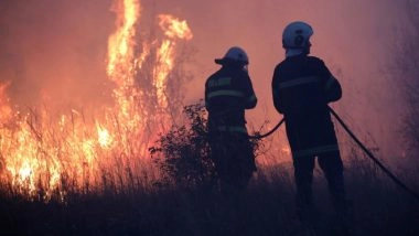 World News | Bulgaria Extinguishes 121 Fires in 24 Hours, No Injuries Reported