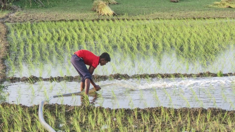 India News | Shimla: 2,22,893 Farmers Engaged in Natural Farming; 38,437 Hectares of Land Under Cultivation
