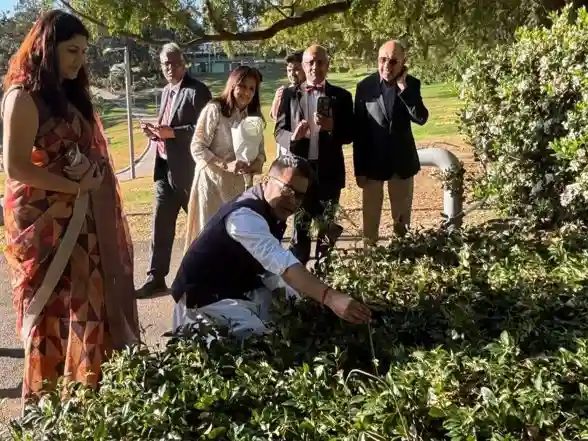 World News | MoS Margherita Plants Sapling in Australia Under 'Ek Ped Maa Ke Naam' Initiative