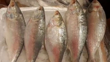 World News | 'Fish is Good, but Rates Too High': Hilsa Retailers Wary as First Batch Arrives from Bangladesh Ahead of Durga Puja