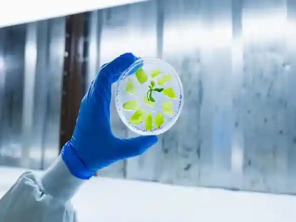 World News | Israel's PlantArcBio Wins US, South Korea Patents for Crop Gene-editing Platform