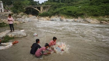 World News | Devotees Immerse Idols of Lord Bishwokarma with Fanfare in Nepal