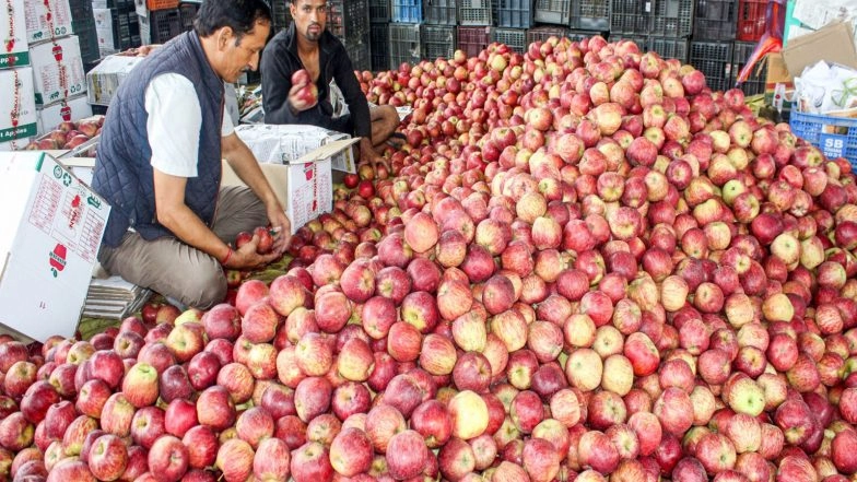 India News | Himachal Pradesh: Apple Season Records Higher Market Arrivals Despite Damaged Roads; Record Procurement Done Through HPMC