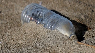 India News | Bengaluru Initiates Awareness Against Banned Single-use Plastics, Littering in Public Spaces