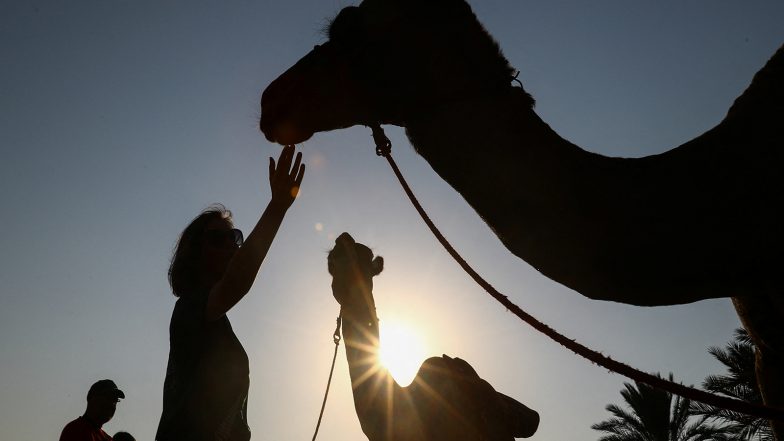 World News | Pakistan: Feudal Landlord Cripples Young Camel for Drinking Water from His Land in Sindh